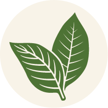 Tribal Council Icon depicting two leaves
